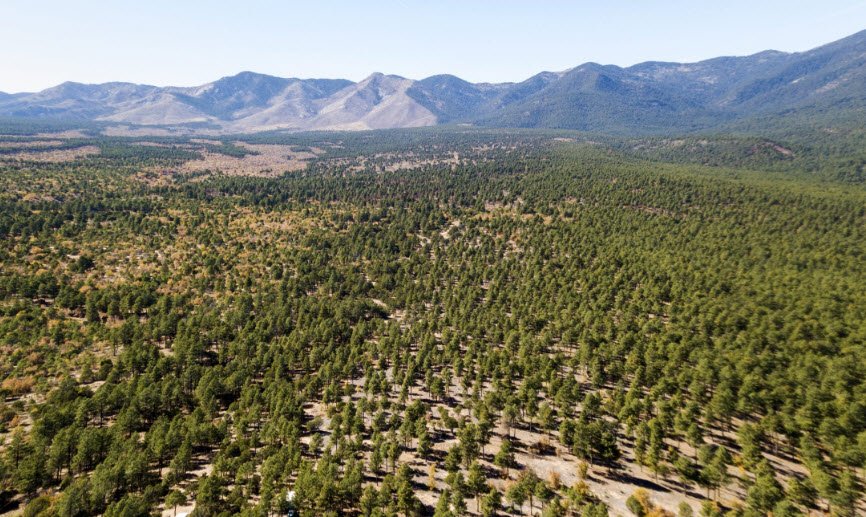 Manzano Mountains State Park, New Mexico, USA
